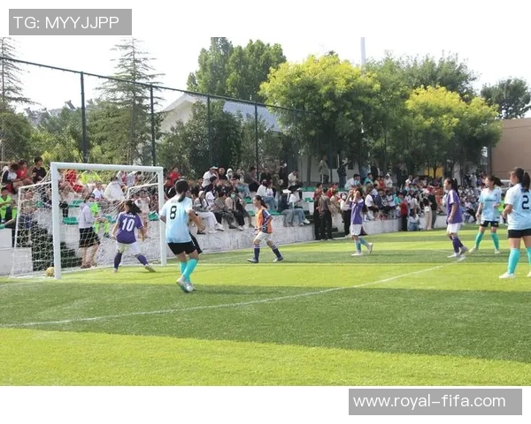 学校足球场全景介绍与使用指南助力学生健康成长与团队精神培养 学校足球场全景介绍与使用指南助力学生健康成长与团队精神培养